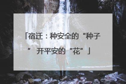 宿迁：种安全的“种子” 开平安的“花”