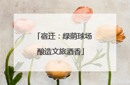 宿迁：绿荫球场酿造文旅酒香