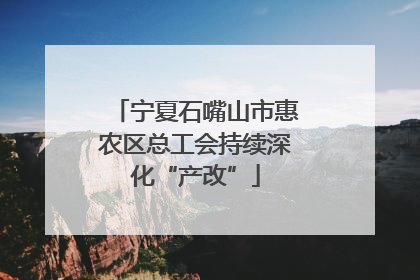 宁夏石嘴山市惠农区总工会持续深化“产改”