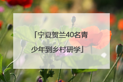 宁夏贺兰40名青少年到乡村研学