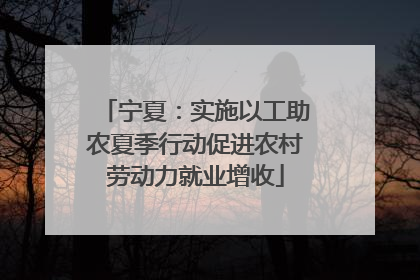宁夏：实施以工助农夏季行动促进农村劳动力就业增收