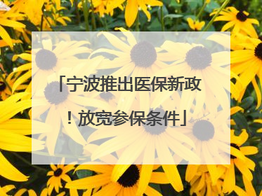 宁波推出医保新政！放宽参保条件