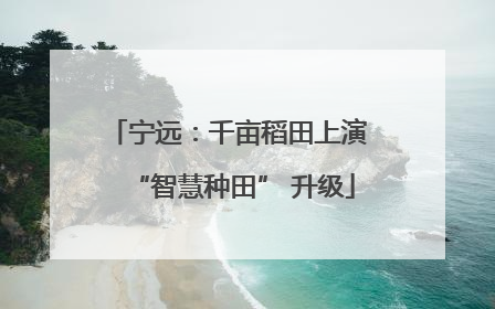 宁远：千亩稻田上演 “智慧种田” 升级