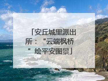 安丘城里派出所：“云端枫桥”绘平安图景