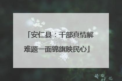 安仁县：干部真情解难题一面锦旗映民心