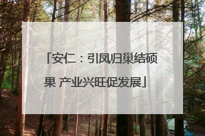 安仁：引凤归巢结硕果 产业兴旺促发展