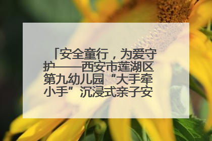 安全童行，为爱守护——西安市莲湖区第九幼儿园“大手牵小手”沉浸式亲子安全体验活动