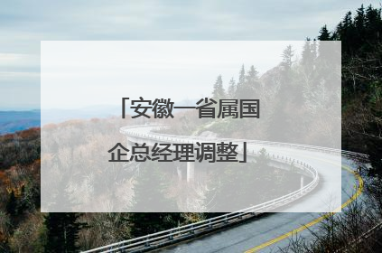 安徽一省属国企总经理调整