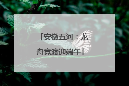 安徽五河：龙舟竞渡迎端午