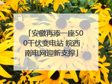 安徽再添一座500千伏变电站 皖西南电网迎新支撑