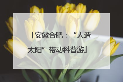 安徽合肥：“人造太阳”带动科普游