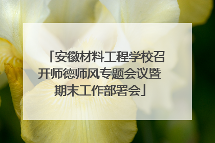 安徽材料工程学校召开师德师风专题会议暨期末工作部署会