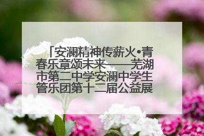 安澜精神传薪火•青春乐章颂未来——芜湖市第二中学安澜中学生管乐团第十二届公益展演圆满举行
