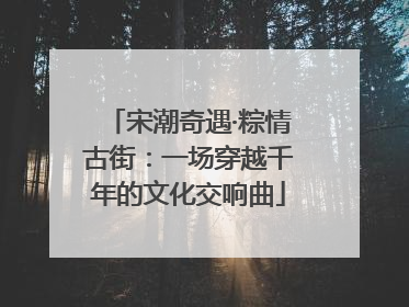 宋潮奇遇·粽情古街：一场穿越千年的文化交响曲
