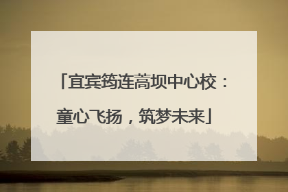 宜宾筠连蒿坝中心校：童心飞扬，筑梦未来