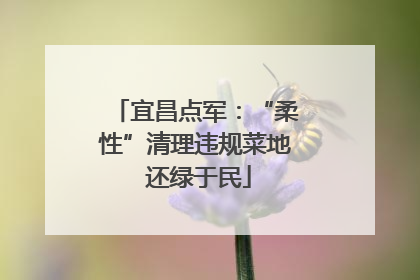 宜昌点军：“柔性”清理违规菜地 还绿于民