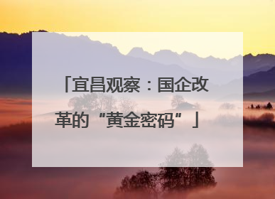 宜昌观察：国企改革的“黄金密码”