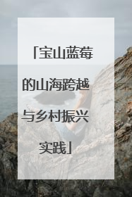 宝山蓝莓的山海跨越与乡村振兴实践
