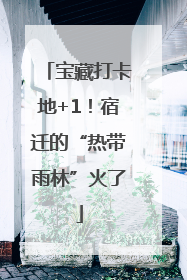 宝藏打卡地+1！宿迁的“热带雨林”火了