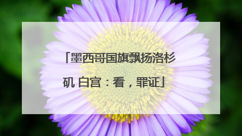 墨西哥国旗飘扬洛杉矶 白宫：看，罪证