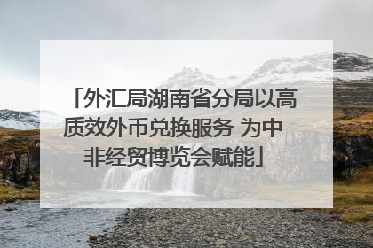 外汇局湖南省分局以高质效外币兑换服务 为中非经贸博览会赋能