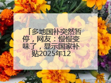 多地国补突然暂停，网友：慢慢变味了，显示国家补贴2025年12月31日结束