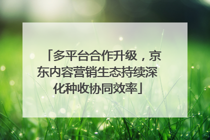 多平台合作升级，京东内容营销生态持续深化种收协同效率