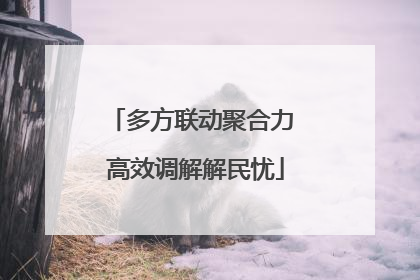 多方联动聚合力 高效调解解民忧