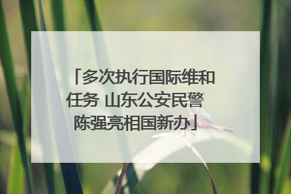 多次执行国际维和任务 山东公安民警陈强亮相国新办