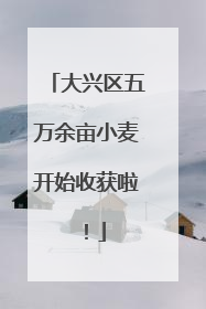大兴区五万余亩小麦开始收获啦！