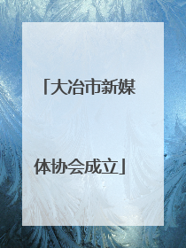 大冶市新媒体协会成立