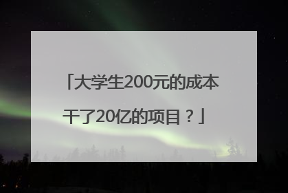 大学生200元的成本干了20亿的项目？