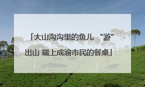 大山沟沟里的鱼儿 “游”出山 端上成渝市民的餐桌