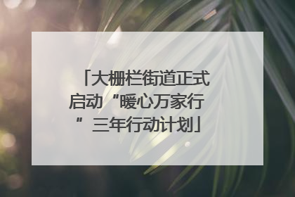 大栅栏街道正式启动“暖心万家行”三年行动计划
