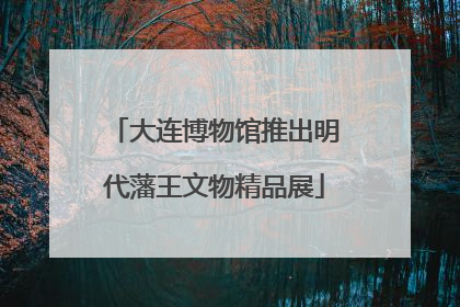 大连博物馆推出明代藩王文物精品展