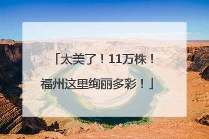 太美了！11万株！福州这里绚丽多彩！