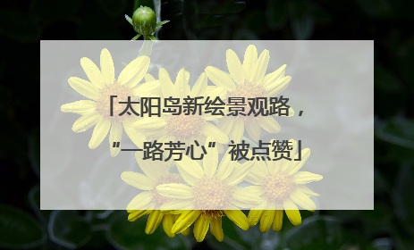 太阳岛新绘景观路，“一路芳心”被点赞