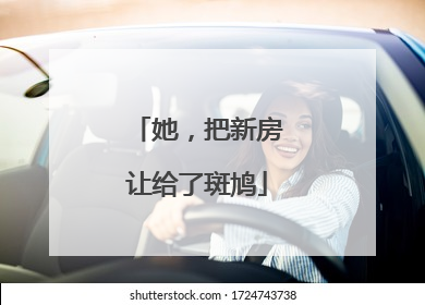 她，把新房让给了斑鸠
