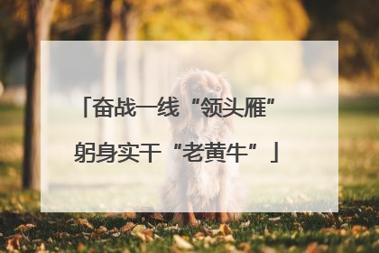 奋战一线“领头雁” 躬身实干“老黄牛”