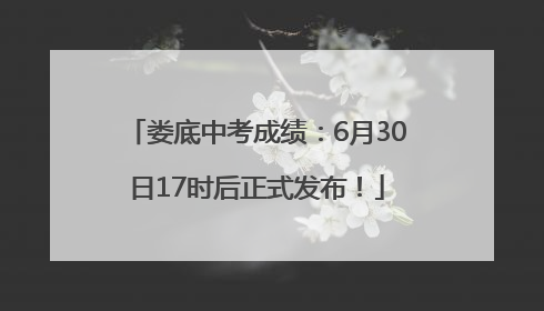 娄底中考成绩：6月30日17时后正式发布！