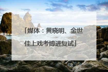 媒体：黄晓明、金世佳上戏考博进复试