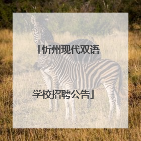 忻州现代双语学校招聘公告