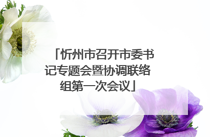 忻州市召开市委书记专题会暨协调联络组第一次会议