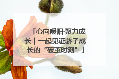 心向暖阳·聚力成长｜一起见证骄子成长的“破茧时刻”