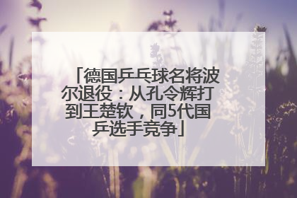 德国乒乓球名将波尔退役：从孔令辉打到王楚钦，同5代国乒选手竞争
