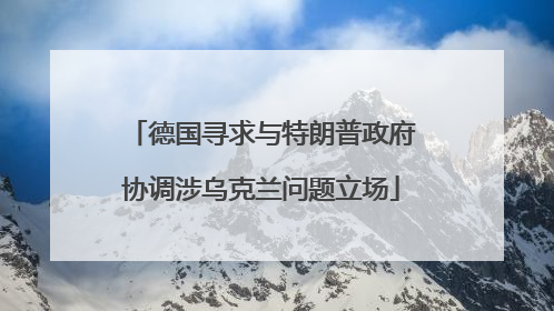 德国寻求与特朗普政府协调涉乌克兰问题立场