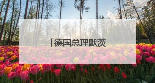 德国总理默茨：美国应给予欧盟“零关税”