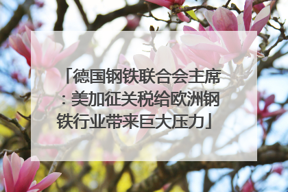 德国钢铁联合会主席：美加征关税给欧洲钢铁行业带来巨大压力