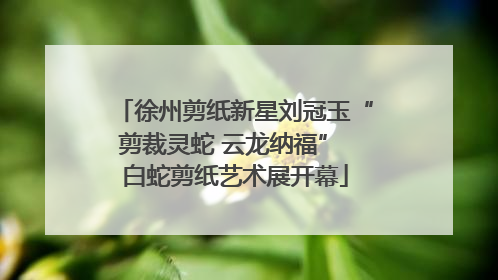 徐州剪纸新星刘冠玉“剪裁灵蛇 云龙纳福” 白蛇剪纸艺术展开幕