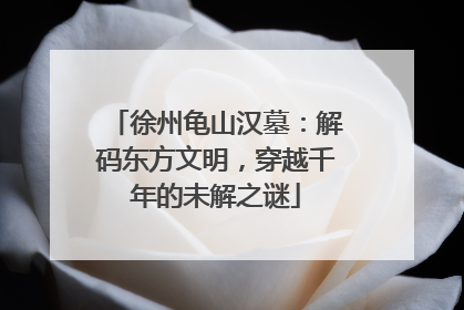 徐州龟山汉墓：解码东方文明，穿越千年的未解之谜